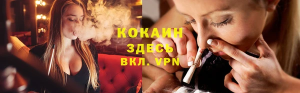 винт Елизово