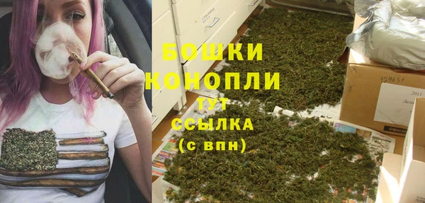 альфа пвп Заволжск