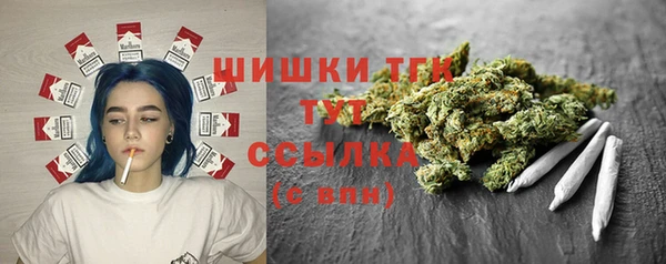 винт Елизово