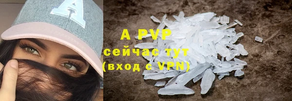 винт Елизово