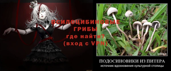 СК Заволжье