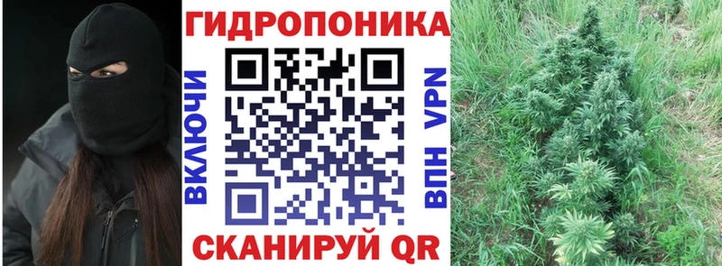 Конопля семена  Иланский 